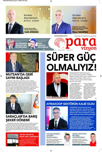 PARAVİZYON