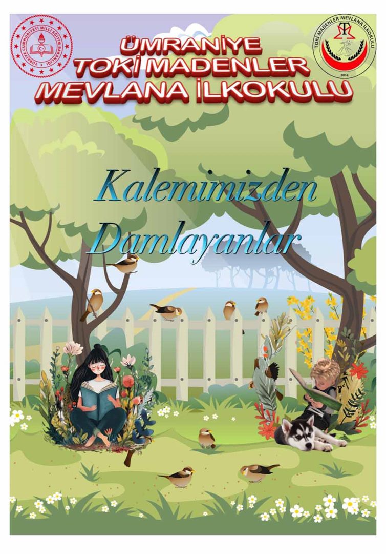 TOKİ MADENLER MEVLANA İLKOKULU