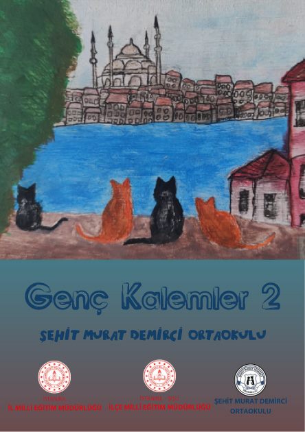 ŞEHİT MURAT DEMİRCİ ORTAOKULU