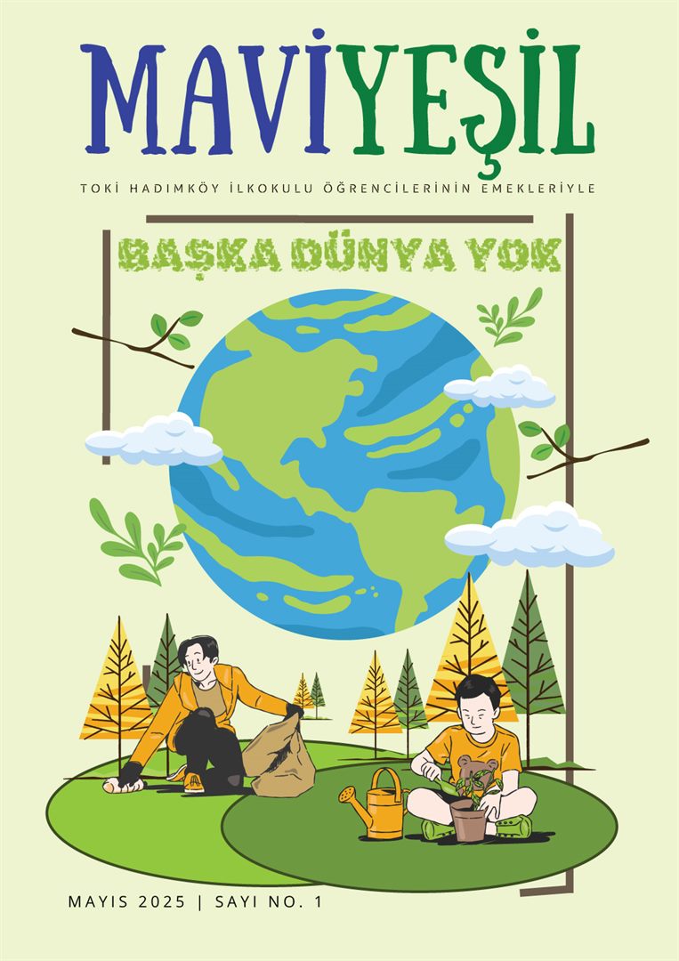 TOKİ HADIMKÖY İLKOKULU